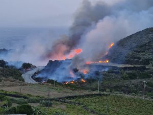 İ̇talya’nın Pantelleria Adası’nda Orman Yangını