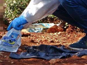 Son Mesajı, ‘Arama, Sorma’ Olan 23 Yaşındaki Oğlunun Cansız Bedenini Buldu