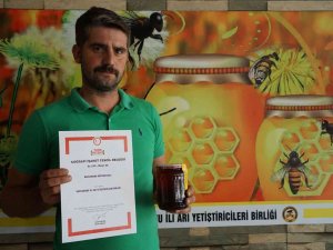 “Kastamonu Kestane Balı Coğrafi İşaret Belgesi Aldı