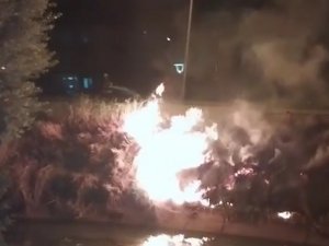 Çayırlık Alanda Çıkan Yangın Büyümeden Söndürüldü