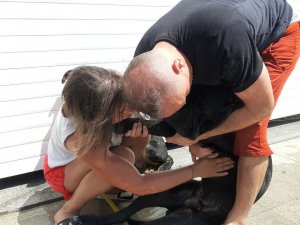 Köpeğinin Yaşaması İçin Dakikalarca Kalp Masajı Yaptı