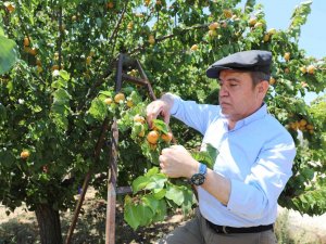 Büyükşehir ‘Çevre Dostu Çiftçi Kart Projesi’ni Başlatıyor