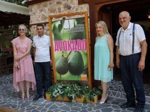 Akademisyenler Avokadonun Kitabını Yazdı