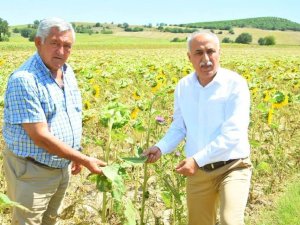 Çiftçiye Sıfır Faizli Kredi Üreticilere Nefes Aldıracak