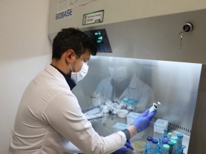 Barü’nün Projesiyle Şeker Hastalığının Tanısına Yönelik Enzim Yerli Olarak Üretilecek