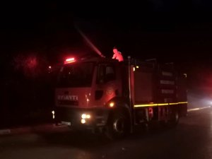 Çamlıkta Çıkan Yangın Büyümeden Söndürüldü