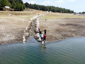 Bursa’da 10 Bin Yavru Sazan Balığı Suyla Buluştu