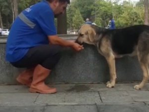 Susuz Kalan Köpeğe Eliyle Su İçirdi