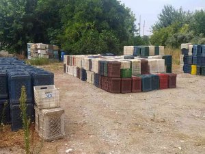 Hatay’da 963 Adet Narenciye Kasası Çalan Zanlı Yakalandı