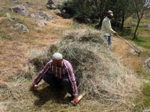Erzincan’da Vatandaşların Kış Hazırlığı