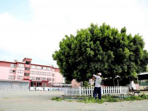 Yüreğir’de Okullar Yeni Eğitim Dönemine Hazırlanıyor