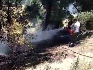 Alevler İ̇ç Anadolu’nun En Büyük Ormanına Sıçramadan Söndürüldü