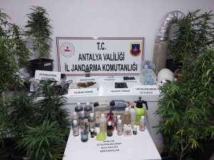 Kumluca’da Jandarmadan Uyuşturucu Operasyonu