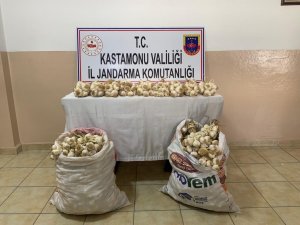 Yol Kenarındaki Tezgahtan Çaldığı Sarımsakları Pazara Götürürken Jandarmaya Yakalandı