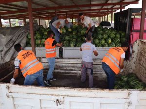 Tarladan Aldığı Karpuzları Vatandaşa Ücretsiz Dağıttı