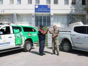 Jandarmanın Uçamaz Halde Bulduğu Yavru Benekli Sinekkapan Kuşu Koruma Altına Alındı
