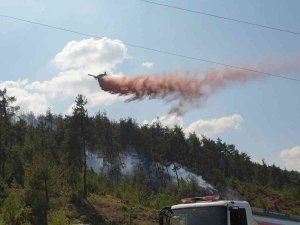 Bursa’da Orman Yangını İçin Müthiş Seferberlik...yangın Kontrol Altında
