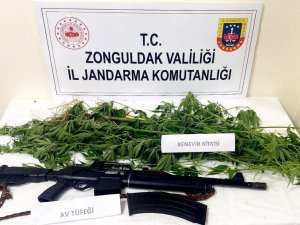 Jandarmadan Kdz. Ereğli Ve Kozlu’da Uyuşturucu Operasyonu