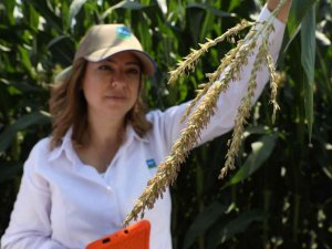 Avrupa İ̇mar Ve Kalkınma Bankası’ndan May Tohum’a Yatırım Desteği