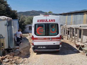 Kalbine Bıçak Saplanmış Halde Ölü Bulundu