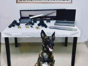 Aranan Şahsın Evinden Cephanelik Çıktı