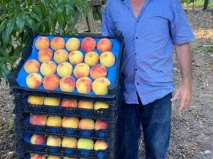 Tarlada Elektrik Akımına Kapılan Şahıs Hayatını Kaybetti