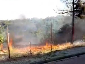 Samsun’da Yangın: Facianın Eşiğinden Dönüldü