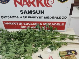 Uyuşturucu Operasyonunda 1 Kişiye Gözaltı