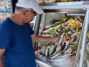 Balıkseverler Bu Sezon Hamsi Ve Palamuda Doyacak
