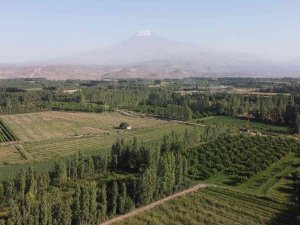 İ̇rem Bağlarında Yeşilliğin Son Demleri Yaşanıyor