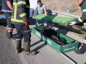 Otobüs Kazasından Acı Haber Geldi: 1 Ölü, 38 Yaralı