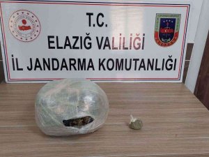 Uyuşturucu Taciri, Narkotik Köpeğinden Kaçamadı
