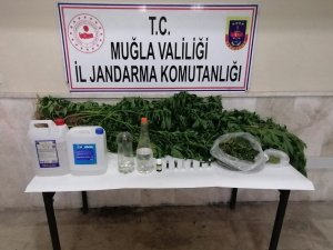 Milas’ta Kaçak İçki, Kenevir Ve Uyuşturucu Madde Ele Geçirildi