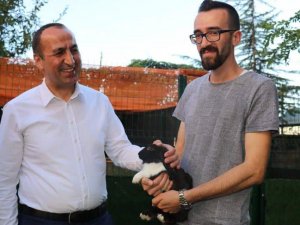 Bingöl’de Okullar Yeni Eğitim Yılına Hazır