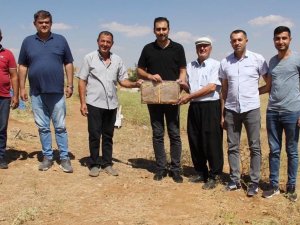 Osmaniye’den Darende’ye Arıcılık Göçü