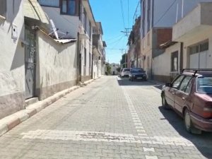 Kadıköy’de Bir Sokağı Pire Ve Keneler Sardı