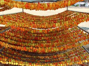 Yılda Kuruttuğu 600 Ton Sebzeyle 200 Aileye Ekmek Kapısı Oluyor