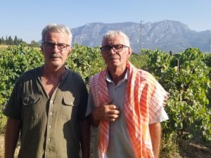 Cumhurbaşkanı Erdoğan Üzüm Hasadı Yaptı