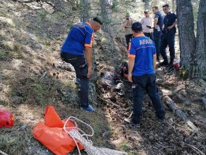 Doğa Yürüyüşü Yapmak İçin Gittiği Ormanda Hayatını Kaybetti