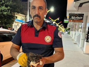 Araçta Sıkışan Yavru Kedi İtfaiye Ekiplerince Kurtardı