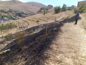 Bayburt’ta Çıkan Yangında 10 Dekarlık Alan Küle Döndü