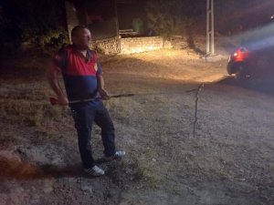 Osmaniye’de Eve Giren Yılanı İtfaiye Yakaladı