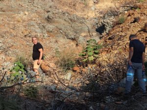 Diktikleri Fidanları Her Gün Kontrol Edip Suluyorlar