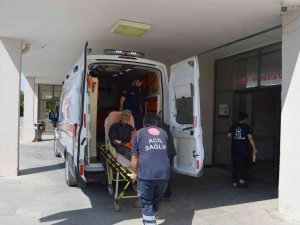 Ağaçtan Düşen Kişi Yaralandı