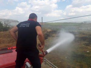 Otluk Alanda Çıkan Yangın Söndürüldü