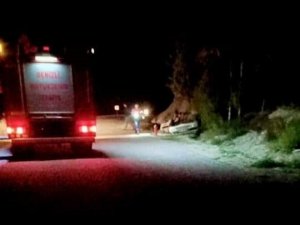 Virajı Alamayan Otomobil Şarampole Devrildi
