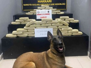 Hakkari’de 31 Kilo 780 Gram Uyuşturucu Ele Geçirildi