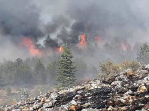 Elazığ’da Orman Yangınına Müdahale Sürüyor