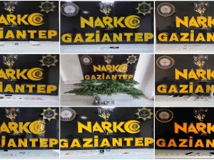 Gaziantep’te Uyuşturucu Operasyonu