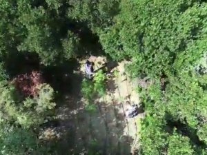 Ormana Uyuşturucu Diktiler, Dron İle Yapılan Operasyonda Yakalandılar